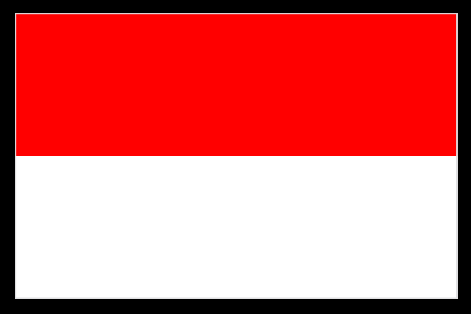 ID Flag